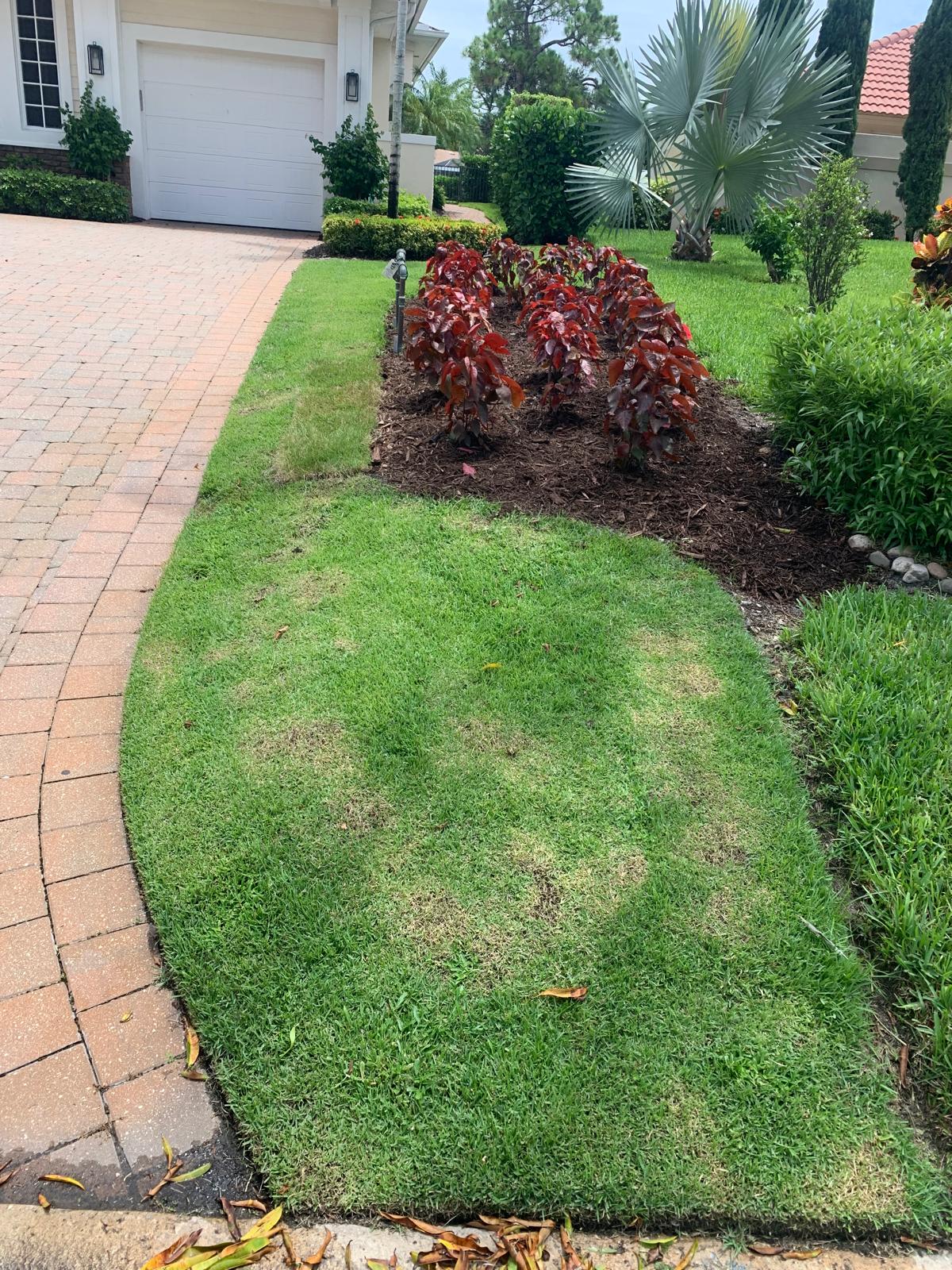 After landscaping with new plants