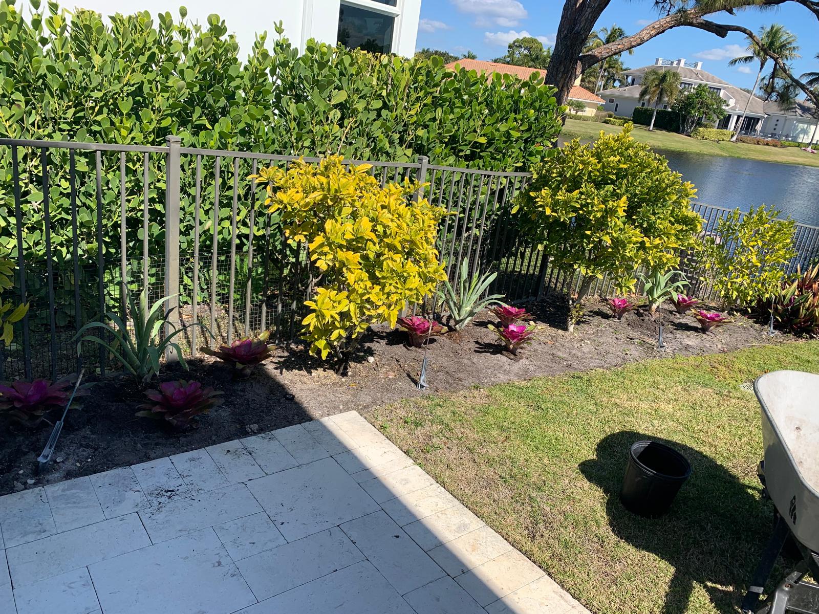 Before mulch installation