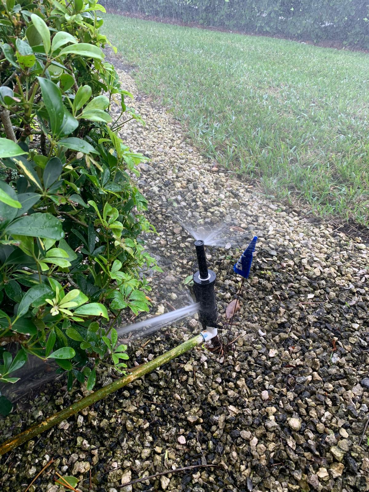 Sprinkler head working